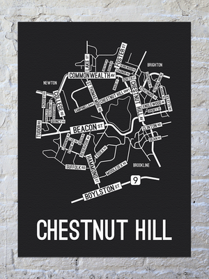 Chestnut Hill, Massachusetts Street Map Canvas