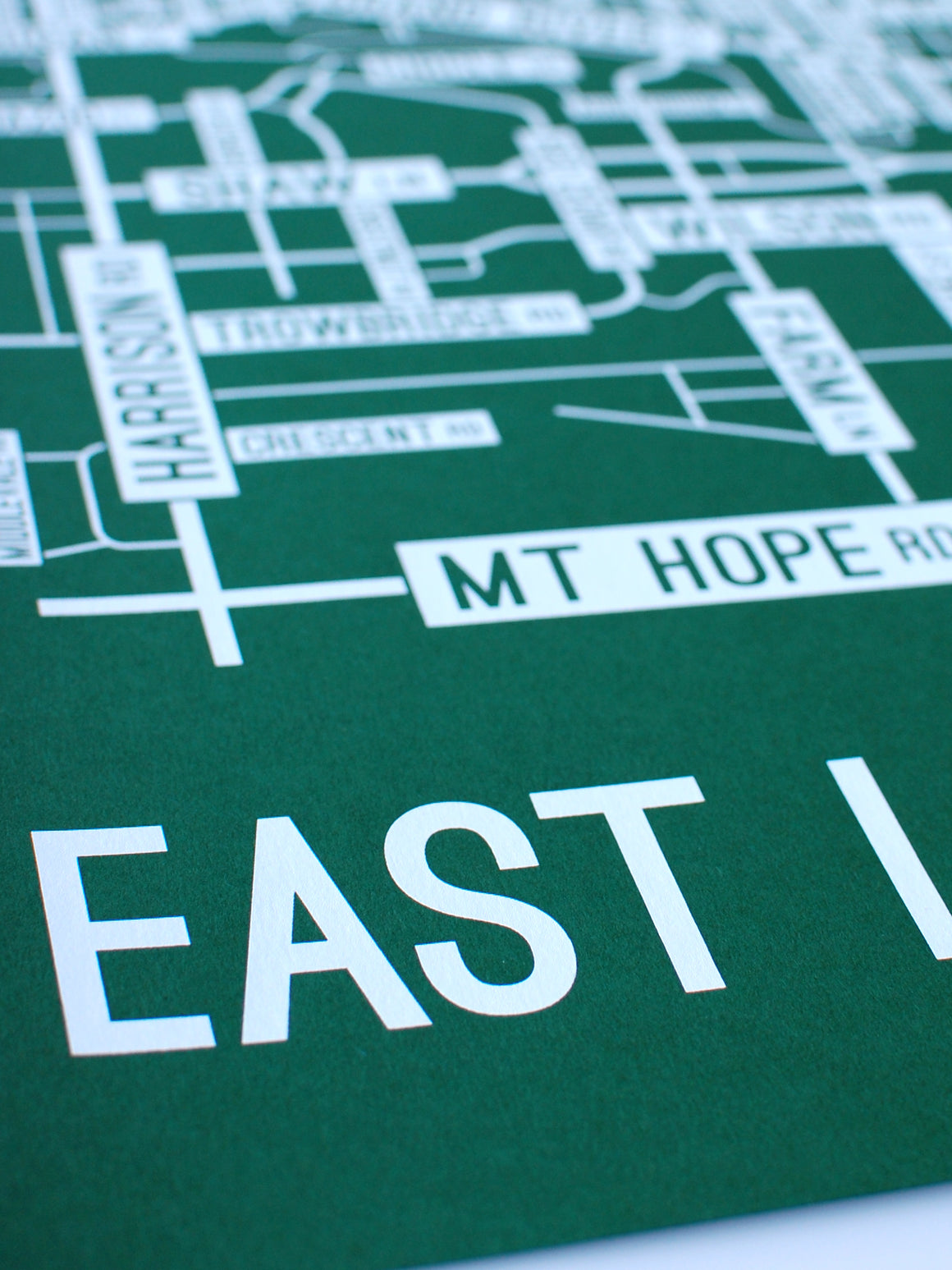 East Lansing, Michigan Street Map Screen Print