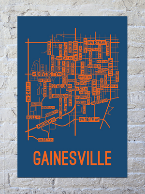 Gainesville, Florida Street Map Screen Print