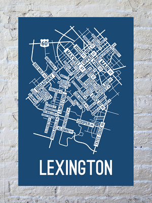 Lexington, Kentucky Street Map Screen Print