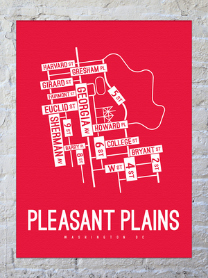 Pleasant Plains, Washington D.C. Street Map Canvas