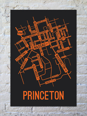 Princeton, New Jersey Street Map Screen Print