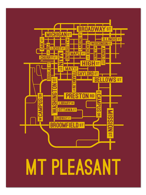 Mount Pleasant, Michigan Street Map