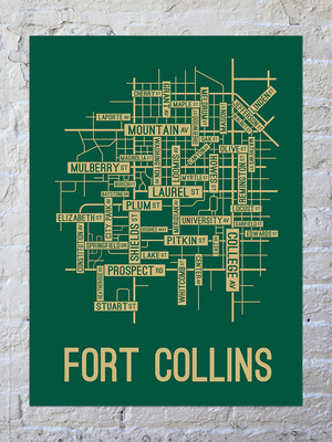 Fort Collins, Colorado Street Map Canvas