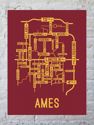Ames, Iowa Street Map Canvas