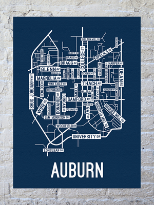 Auburn, Alabama Street Map Canvas