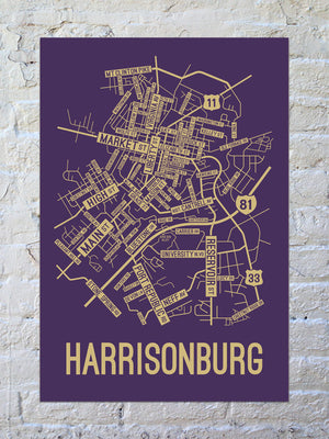 Harrisonburg, Virginia Street Map Print
