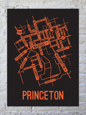 Princeton, New Jersey Street Map Canvas